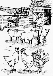 Buy Livestock for Less Image